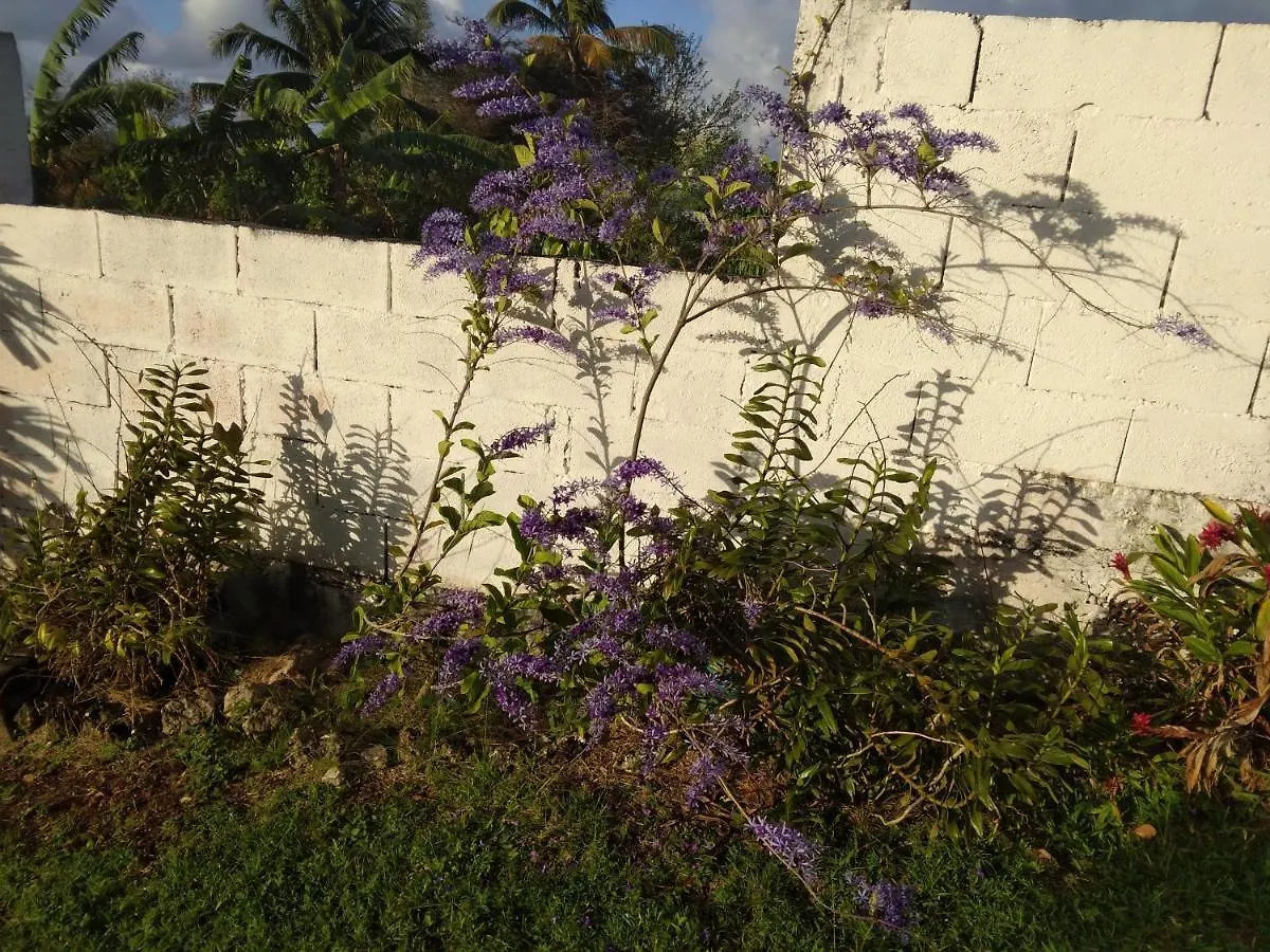 Appartement Les Bougainvilliers à Le Gosier  Guadeloupe